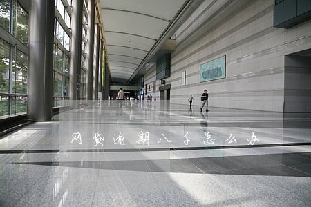 网贷逾期八千怎么办 网贷逾期八千怎么办