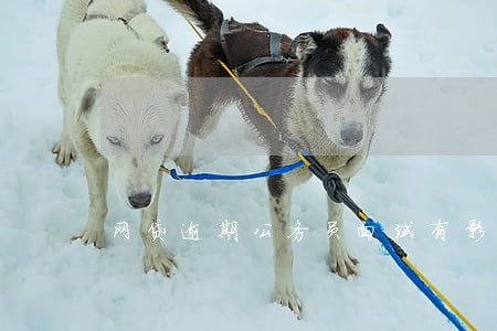 网贷逾期公务员面试有影响吗 网贷逾期公务员面试有影响吗