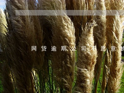 网贷逾期公司不愿意协商怎么办 网贷逾期公司不愿意协商怎么办