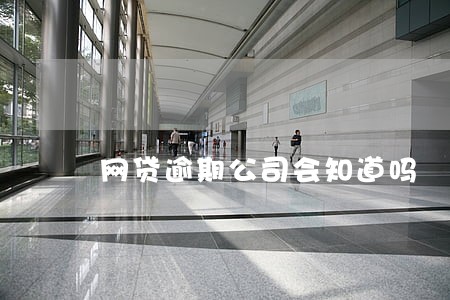 网贷逾期公司会知道吗