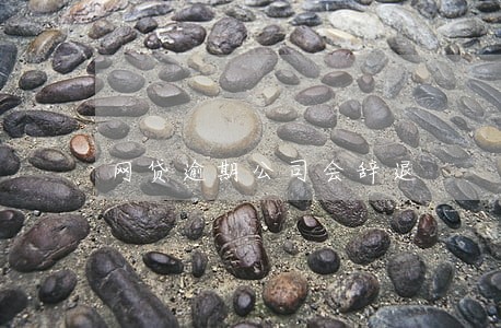 网贷逾期公司会辞退 网贷逾期公司会辞退