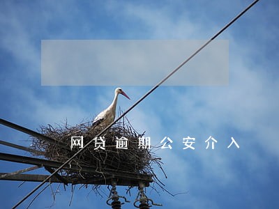 网贷逾期公安介入 网贷逾期公安介入