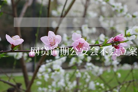 网贷逾期公安会不会立案 网贷逾期公安会不会立案