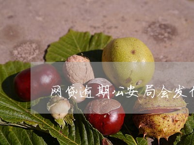 网贷逾期公安局会发信息 网贷逾期公安局会发信息