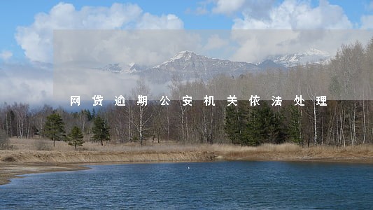网贷逾期公安机关依法处理