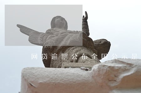 网贷逾期公布全国公示是真的吗 网贷逾期公布全国公示是真的吗