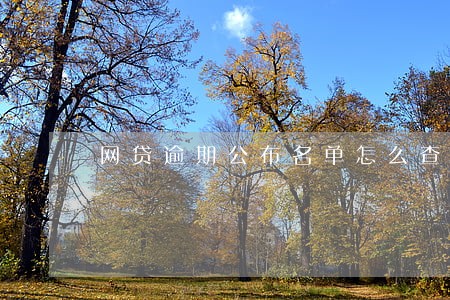 网贷逾期公布名单怎么查 网贷逾期公布名单怎么查