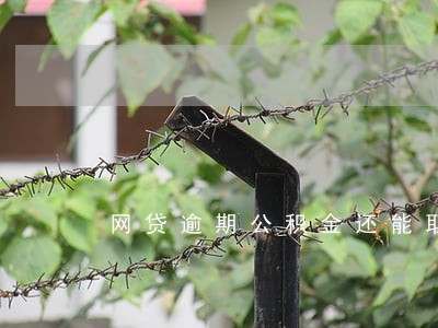 网贷逾期公积金还能取出来吗 网贷逾期公积金还能取出来吗