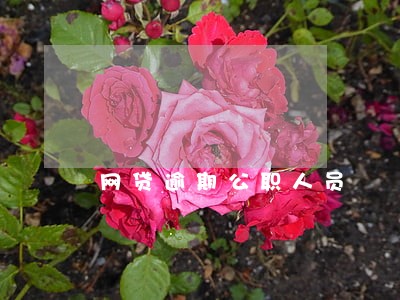 网贷逾期公职人员 网贷逾期公职人员