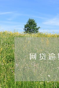 网贷逾期六万多会坐牢吗 网贷逾期六万多会坐牢吗