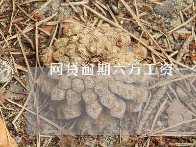 网贷逾期六万工资一个月一万 网贷逾期六万工资一个月一万