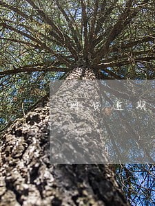 网贷逾期六个月报案 网贷逾期六个月报案