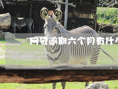 网贷逾期六个月有什么影响 网贷逾期六个月有什么影响