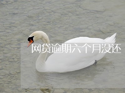 网贷逾期六个月没还 网贷逾期六个月没还
