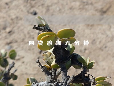 网贷逾期六分钟 网贷逾期六分钟