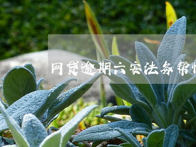 网贷逾期六安法务帮忙 网贷逾期六安法务帮忙