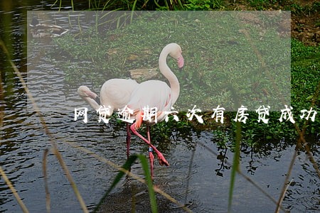网贷逾期六次有房贷成功的吗 网贷逾期六次有房贷成功的吗