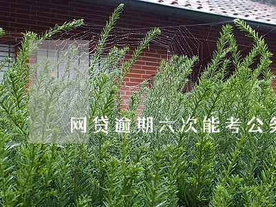 网贷逾期六次能考公务员吗 网贷逾期六次能考公务员吗