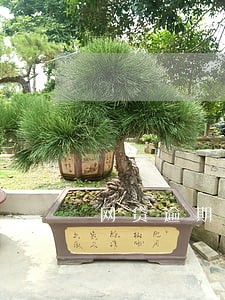 网贷逾期关机怎么办 网贷逾期关机怎么办