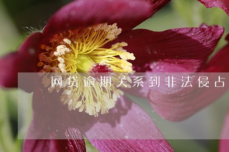 网贷逾期关系到非法侵占资产吗 网贷逾期关系到非法侵占资产吗