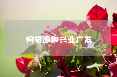 网贷逾期兴业广发 网贷逾期兴业广发