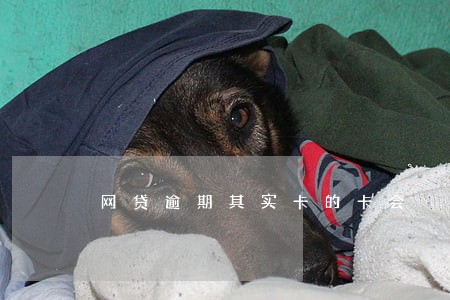 网贷逾期其实卡的卡会 网贷逾期其实卡的卡会