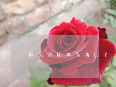 网贷逾期再借新口子 网贷逾期再借新口子
