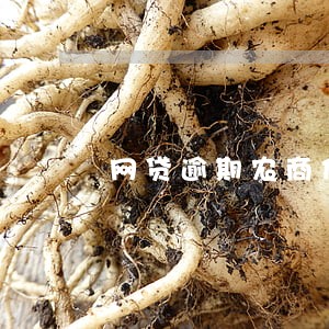 网贷逾期农商信用卡停用 网贷逾期农商信用卡停用