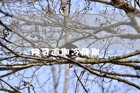 网贷逾期冷静期 网贷逾期冷静期