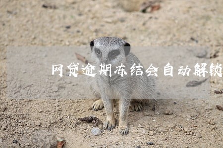 网贷逾期冻结会自动解锁吗 网贷逾期冻结会自动解锁吗