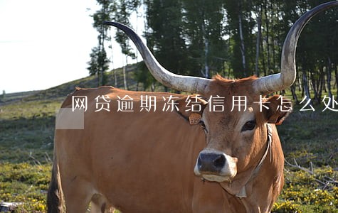 网贷逾期冻结信用卡怎么处理