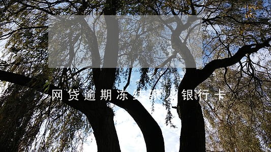 网贷逾期冻结家人银行卡 网贷逾期冻结家人银行卡