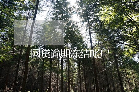 网贷逾期冻结帐户
