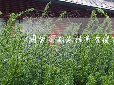 网贷逾期冻结所有储蓄卡 网贷逾期冻结所有储蓄卡