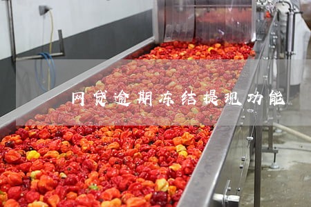 网贷逾期冻结提现功能 网贷逾期冻结提现功能