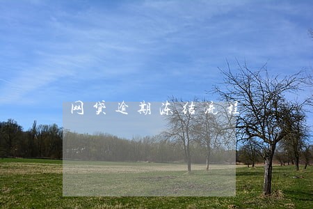 网贷逾期冻结流程 网贷逾期冻结流程