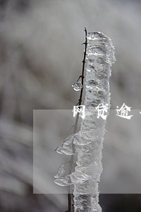 网贷逾期冻结电子账户 网贷逾期冻结电子账户