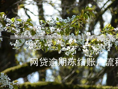 网贷逾期冻结账户流程 网贷逾期冻结账户流程
