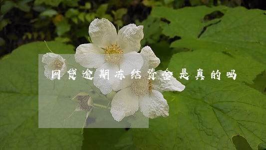网贷逾期冻结资金是真的吗 网贷逾期冻结资金是真的吗