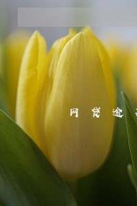 网贷逾期冻结还不了款 网贷逾期冻结还不了款