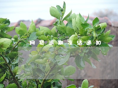 网贷逾期冻结通知 网贷逾期冻结通知