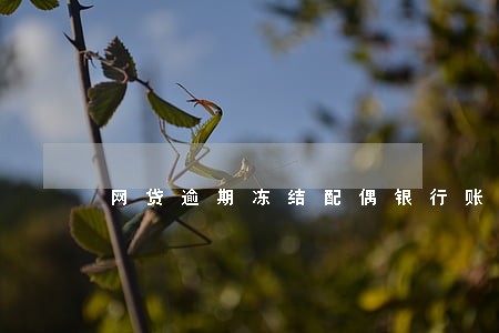 网贷逾期冻结配偶银行账户吗 网贷逾期冻结配偶银行账户吗