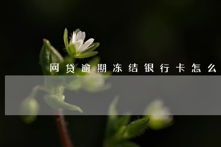 网贷逾期冻结银行卡怎么办 网贷逾期冻结银行卡怎么办