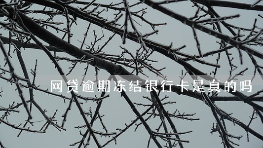 网贷逾期冻结银行卡是真的吗 网贷逾期冻结银行卡是真的吗