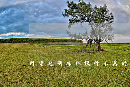 网贷逾期冻结银行卡真的假的 网贷逾期冻结银行卡真的假的