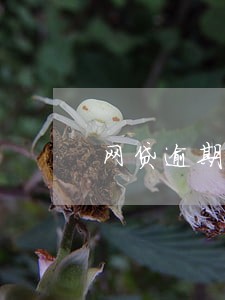 网贷逾期冻结银行卡该怎么办 网贷逾期冻结银行卡该怎么办