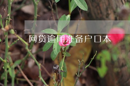 网贷逾期准备户口本
