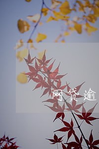 网贷逾期准备联系我所在单位 网贷逾期准备联系我所在单位