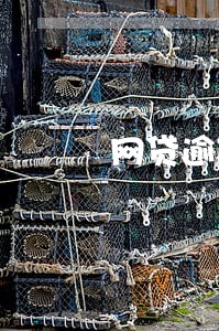 网贷逾期准备起诉 网贷逾期准备起诉