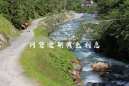 网贷逾期减免利息 网贷逾期减免利息